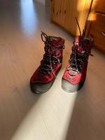 Bergschuh Lowa Cevedale GTX (Gore Tex) woman 37 Bayern - Rosenheim Vorschau