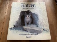 Buch,Katzen - Spiel und Geheimnis,Ein literarisches Bilderbuch Schleswig-Holstein - Kappeln Vorschau