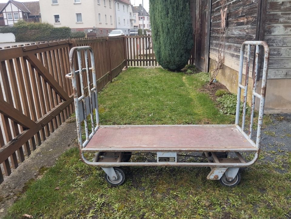 300KG STABILER BRENNHOLZ-TRANSPORTWAGEN-ROLLWAGEN FESTSTELLBREMSE in Staufenberg