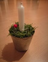 kleines Gesteck Backförmchen Kerze Weihnachten Deko Moos Baden-Württemberg - Vogtsburg Vorschau