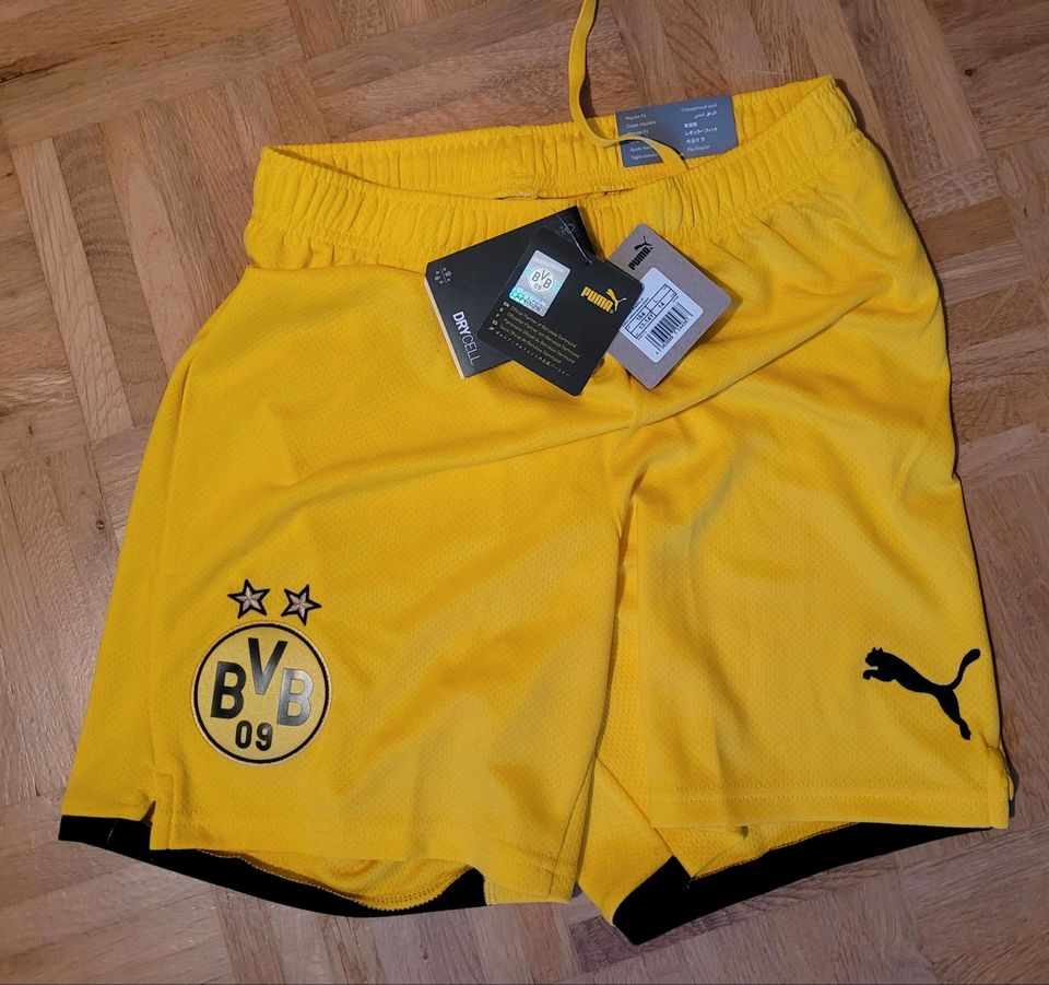 BVB Trikothose Kinder in Frankenau