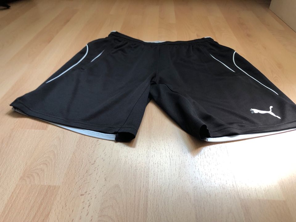 Puma Shorts S in Wadersloh