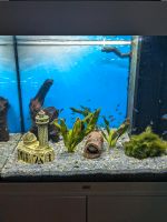 %%ANGEBOT%% Juwel Aquarium Lido 120 Weiss + 65 Garnelen Baden-Württemberg - Baienfurt Vorschau