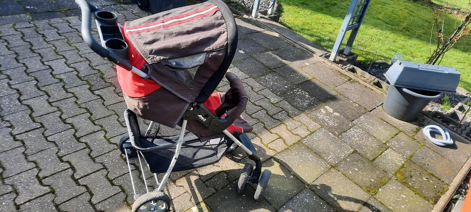 HAUCK Buggy in Haan