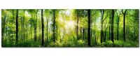 Küchenrückwand Waldlichtung Premium Hart-PVC 0,4 mm selbstklebend Nordrhein-Westfalen - Rahden Vorschau