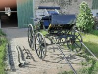 Kutsche Spider/Kutsche Glinkowski Sachsen - Weißenborn Erzgebirge Vorschau