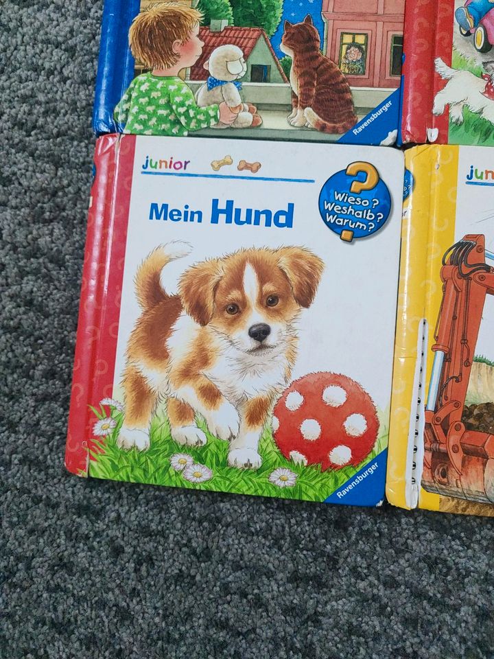 Junior wieso weshalb warum Buch 2-4 Jahre Kinder klappfenster in Horn-Bad Meinberg