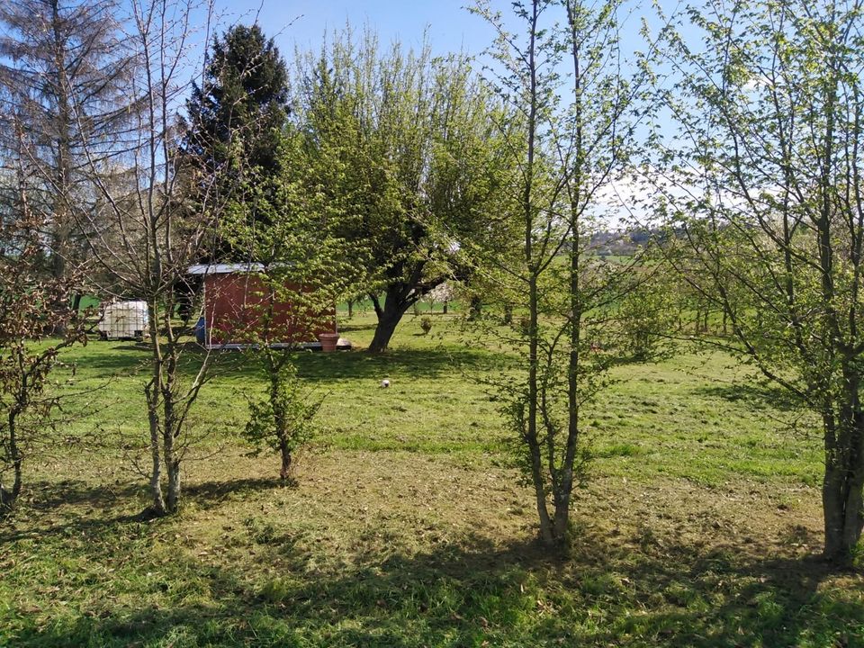 Freizeit Grundstück, Landwirtschaftsfläche, Garten. in Ispringen