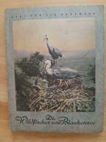 Die Wildfischer von Blankensee von Hans von der Nordmark 1952 Hessen - Kriftel Vorschau