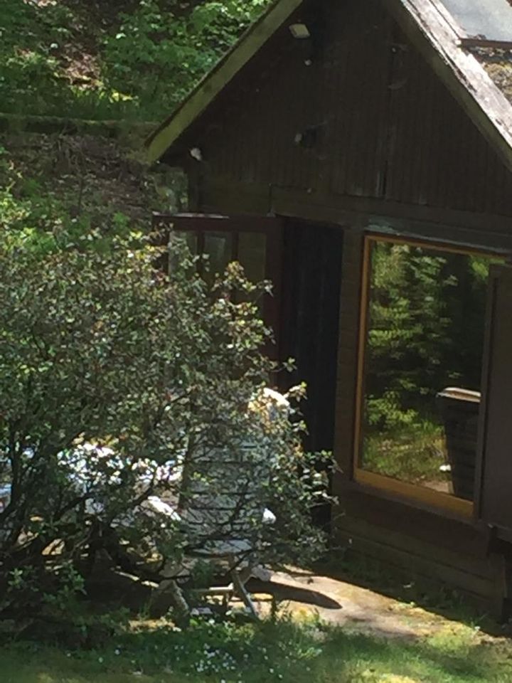 Idyllisches Ferienhaus im Wald zu verkaufen in Lütjensee