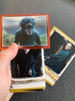 Harry Potter Panini Sticker Baden-Württemberg - Berglen Vorschau