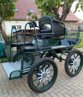 Marathonwagen Wagonette Trainingswagen Kutsche Pferdekutsche Müritz - Landkreis - Sietow Vorschau