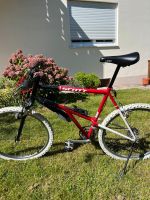 Scott Mountainbike rot Vintage Bayern - Freising Vorschau