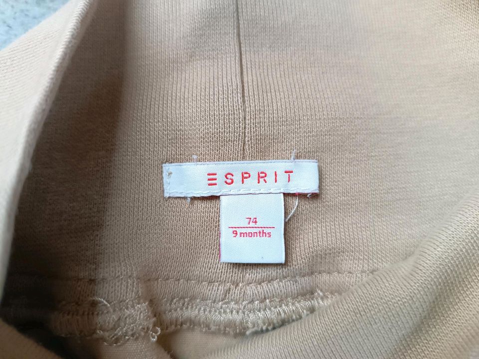 Esprit Baby Hose 74 in Viersen