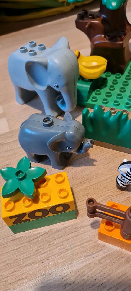 Lego Duplo Dschungel 40 teilig in Schwaikheim