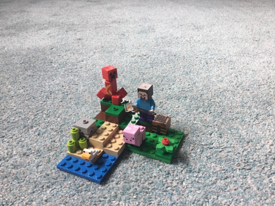 Lego Minecraft-Sets (alle Sets sind vollständig) Preis 7-17€ in Kiel