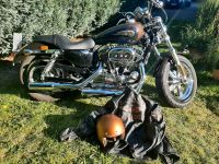 Harley Davidson XL 1200 Sportster C  Aniversary 110 Years Nordrhein-Westfalen - Schloß Holte-Stukenbrock Vorschau