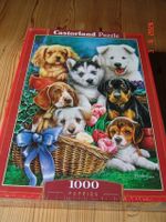 Puzzle Castorland Puppies 1000 Teile - NEU - OVP Schleswig-Holstein - Laboe Vorschau