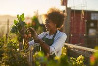 Job in der Schweiz: Landschaftsgärtner:in 80-100% (20772447) Düsseldorf - Stadtmitte Vorschau