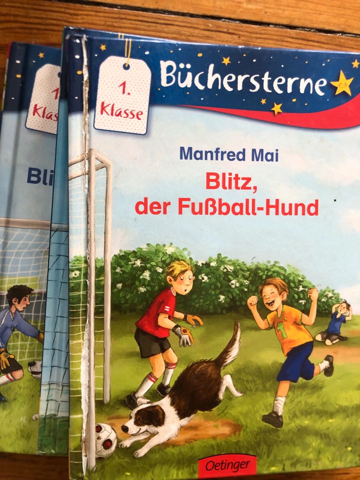 Kinderbuch 1. Klasse in Hamburg