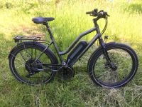 E-bike/Elektrofahrrad Rostock - Pölchow Vorschau