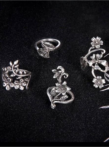 Ringe set blumen in Dinkelsbuehl