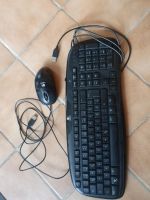 3x Logitech Tastaturen plus Mäuse Mecklenburg-Vorpommern - Vellahn Vorschau