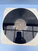 Schallplatten Vinyl LP Bayern - Hirschaid Vorschau