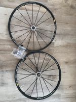 Mavic Laufradsatz Carbon mit breiten Alu Speichen schwarz Baden-Württemberg - Bretten Vorschau