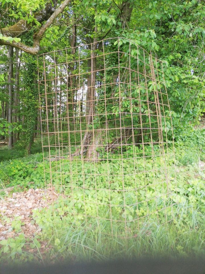 Gitter eckig Gitterbox für Holz in Tännesberg