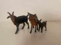 SCHLEICH Farmtiere Ziegen 13223, 13120, 13102 Rarität Leipzig - Leipzig, Zentrum-Nord Vorschau