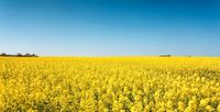 Suche Ackerflächen und Wiesen zu Pachten Bayern - Freising Vorschau