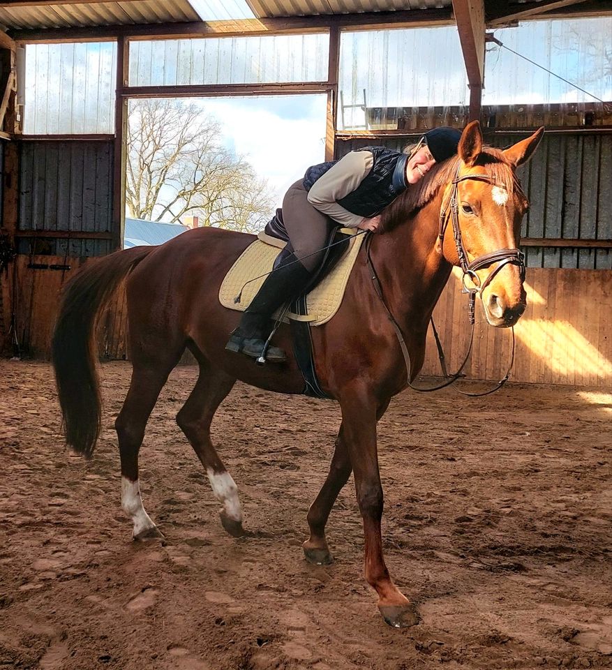 Reitunterricht Pferdeausbildung Horsemanship Bodenarbeit in Schnega