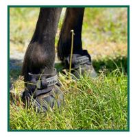 Flex Boots, Flex Hoof Boots Bayern - Burgkunstadt Vorschau