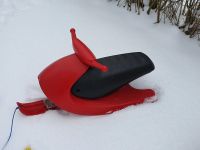 ROLLY TOYS Snow Scooter (roter Schlitten bis 100 kg Gewicht) Nordrhein-Westfalen - Sundern (Sauerland) Vorschau