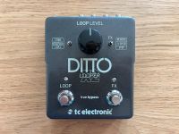 TC Electronic Ditto Looper X2 Friedrichshain-Kreuzberg - Friedrichshain Vorschau