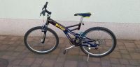 24" Mountainbike Giant Box Shock Fahrrad Sachsen - Riesa Vorschau