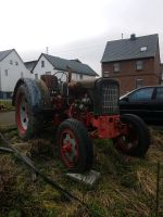 Traktor schlepper Rheinland-Pfalz - Neunkirchen (Westerwald) Vorschau