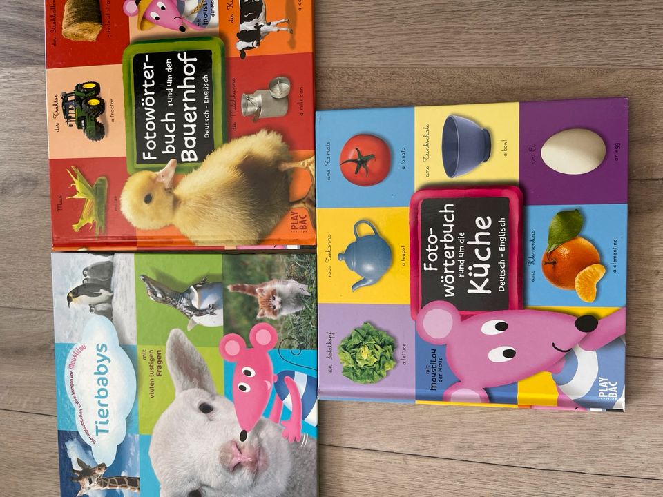 Bücher Buch Kinder basteln englisch Disney Märchen in Burgstetten