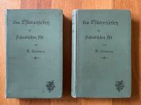 Das Pflanzenleben der Schwäbischen Alb Bd. 1&2, R. Gradmann, 1898 Baden-Württemberg - Calw Vorschau