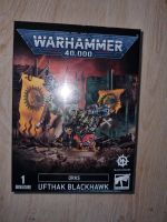 Warhammer 40k Orks Ufthak Blackhawk Schleswig-Holstein - Preetz Vorschau
