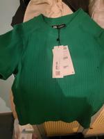 TSHIRT von Zara Größe M Grün kurze Ärmeln Nürnberg (Mittelfr) - Südstadt Vorschau
