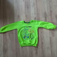 Sweatshirt Größe 110 DINOS Niedersachsen - Oetzen Vorschau