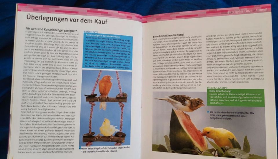 Mein Kanarienvogel zu Hause Haltung Pflege Harro Hieronimus in Fürth