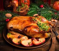 Weihnachtsbraten - Schlachtenten - Enten Sachsen - Nossen Vorschau