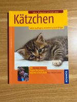 Alles über die Katzenhaltung Nordrhein-Westfalen - Bad Driburg Vorschau