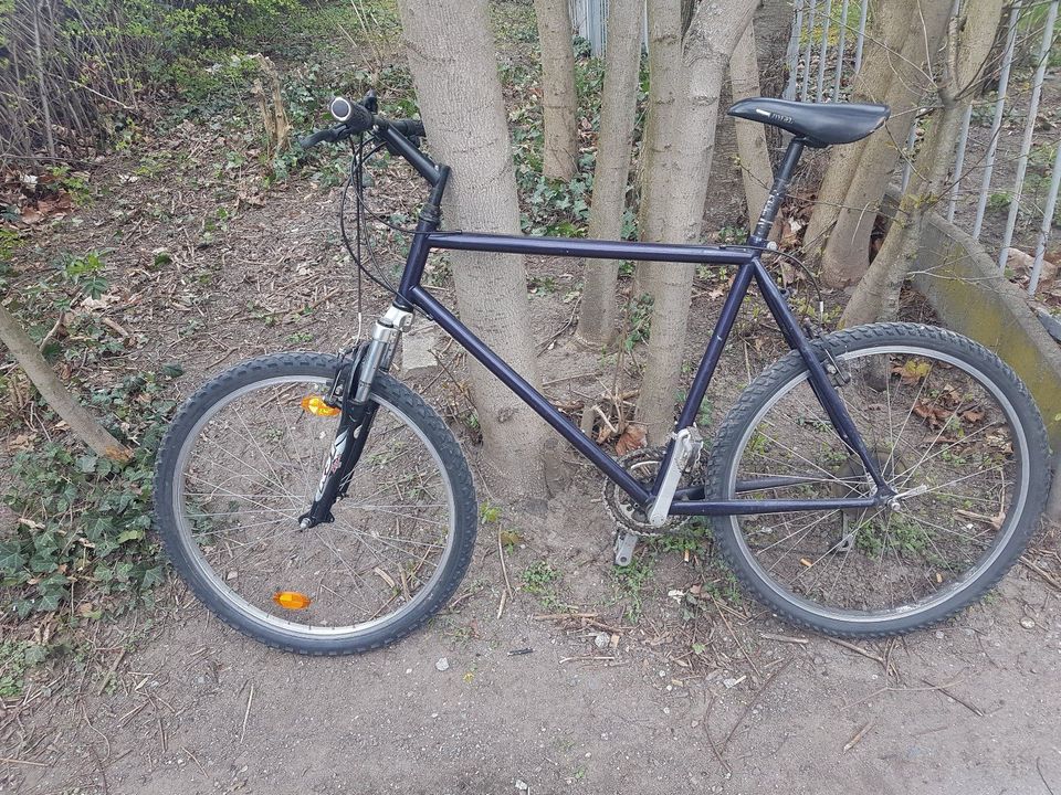 Fahrrad Mountainbike in Dresden