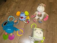 Baby Spielzeug Hessen - Wölfersheim Vorschau