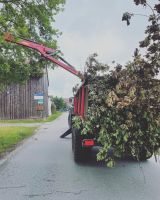 Landschaftspflege/Holzarbeiten/Gartenarbeiten/Hausmeister Bayern - Moos Vorschau