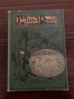 Antikes Jahrbuch Wild und Hund von 1908 Kreis Pinneberg - Pinneberg Vorschau